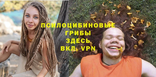 бошки Бородино
