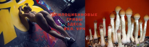 бошки Бородино