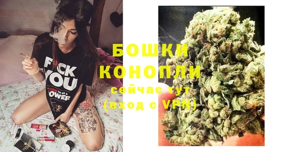 бошки Бородино