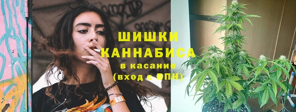 гидропоника Бугульма