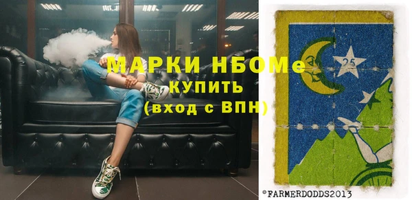 бошки Бородино