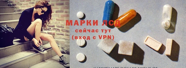 бошки Бородино