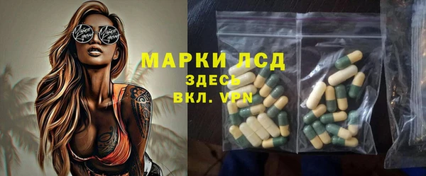 бошки Бородино