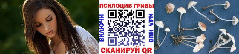 мега как зайти  Лосино-Петровский  Псилоцибиновые грибы прущие грибы  закладка 